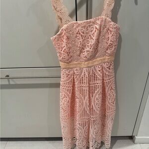 Pink Lace Sleeveless Dress New Without Tags
